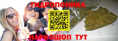 jwh Моздок